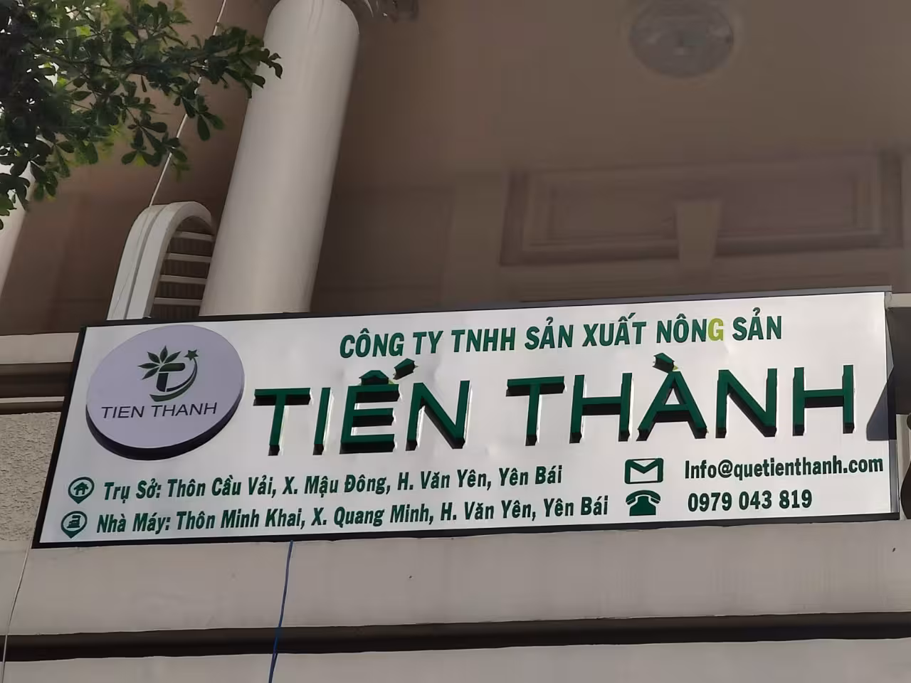 Tầm quan trọng của bảng hiệu mica trong việc xây dựng thương hiệu Các xu hướng thiết kế bảng hiệu mica hiện đại