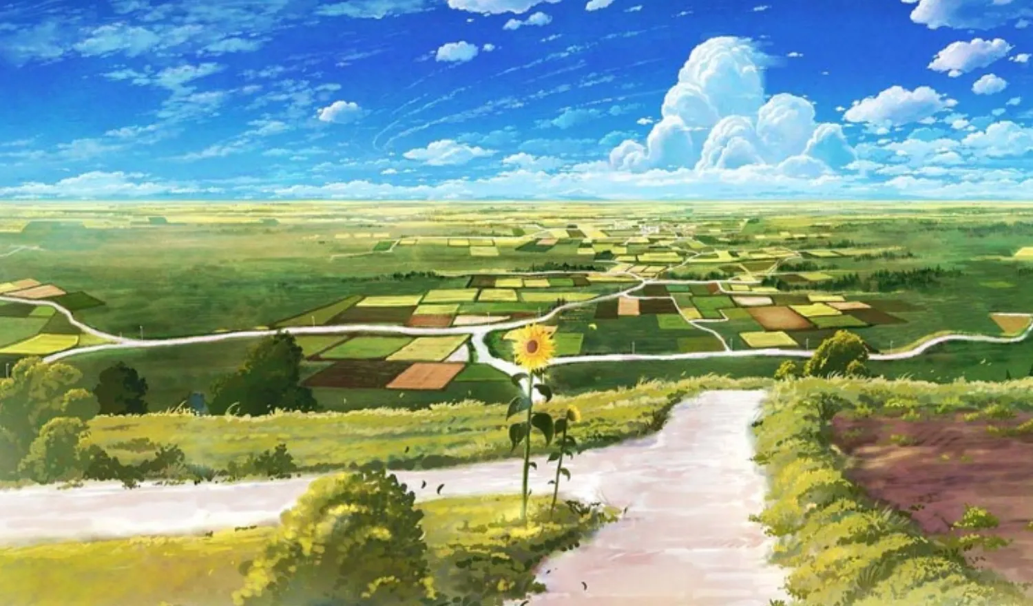 Con đường làng anime