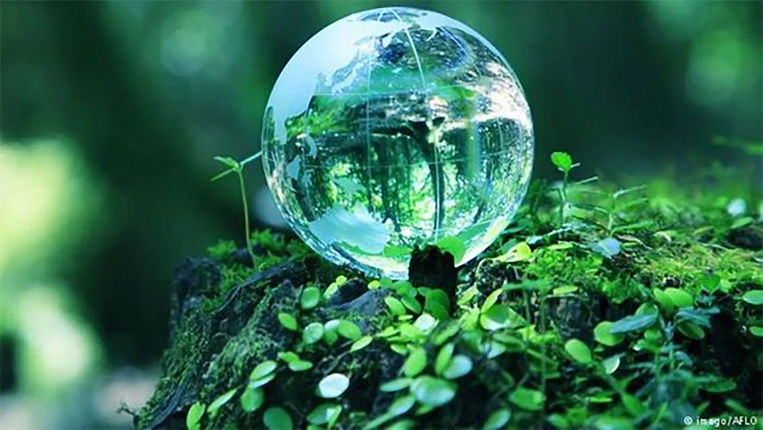 hinh nen trai dat cho may tinh 15 jpg 01b7e0e5