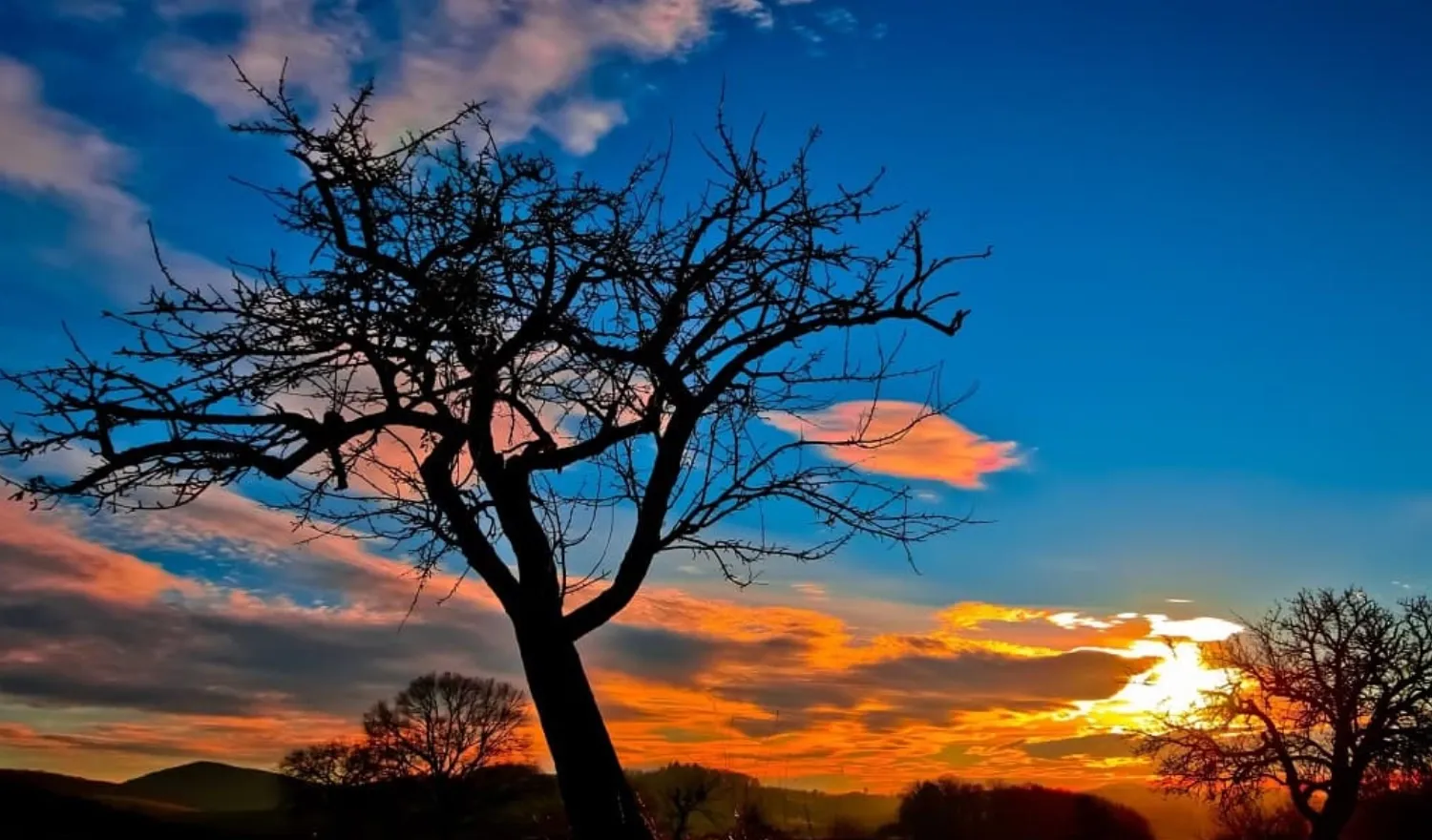 Hoàng hôn chiều tà