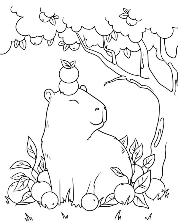 100+ Tranh Tô Màu Capybara Cute: Từ Dễ Đến Khó, Phù Hợp Mọi Lứa Tuổi!
