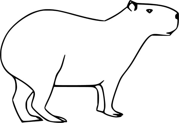 100 tranh to mau capybara cute tu de den kho phu hop moi lua tuoi 11999 4