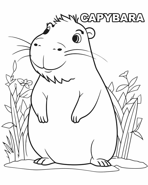 100 tranh to mau capybara cute tu de den kho phu hop moi lua tuoi 11999