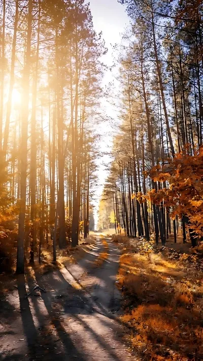 Tải Về 99+ Hình Nền Samsung - Đủ Mọi Phong Cách, Hợp Mọi Gu! Hinh Nen Samsung Innhanh.pro .vn008