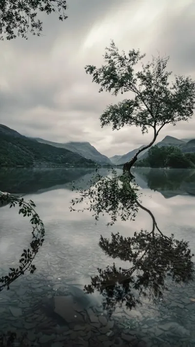 Tải Về 99+ Hình Nền Samsung - Đủ Mọi Phong Cách, Hợp Mọi Gu! Hinh Nen Samsung Innhanh.pro .vn011