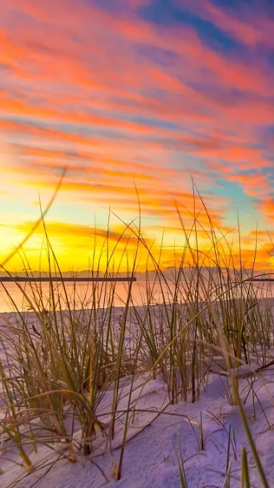 Tải Về 99+ Hình Nền Samsung - Đủ Mọi Phong Cách, Hợp Mọi Gu! Hinh Nen Samsung Innhanh.pro .vn044