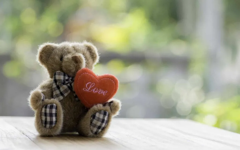 Hinh Nen Valentine Lang Man063