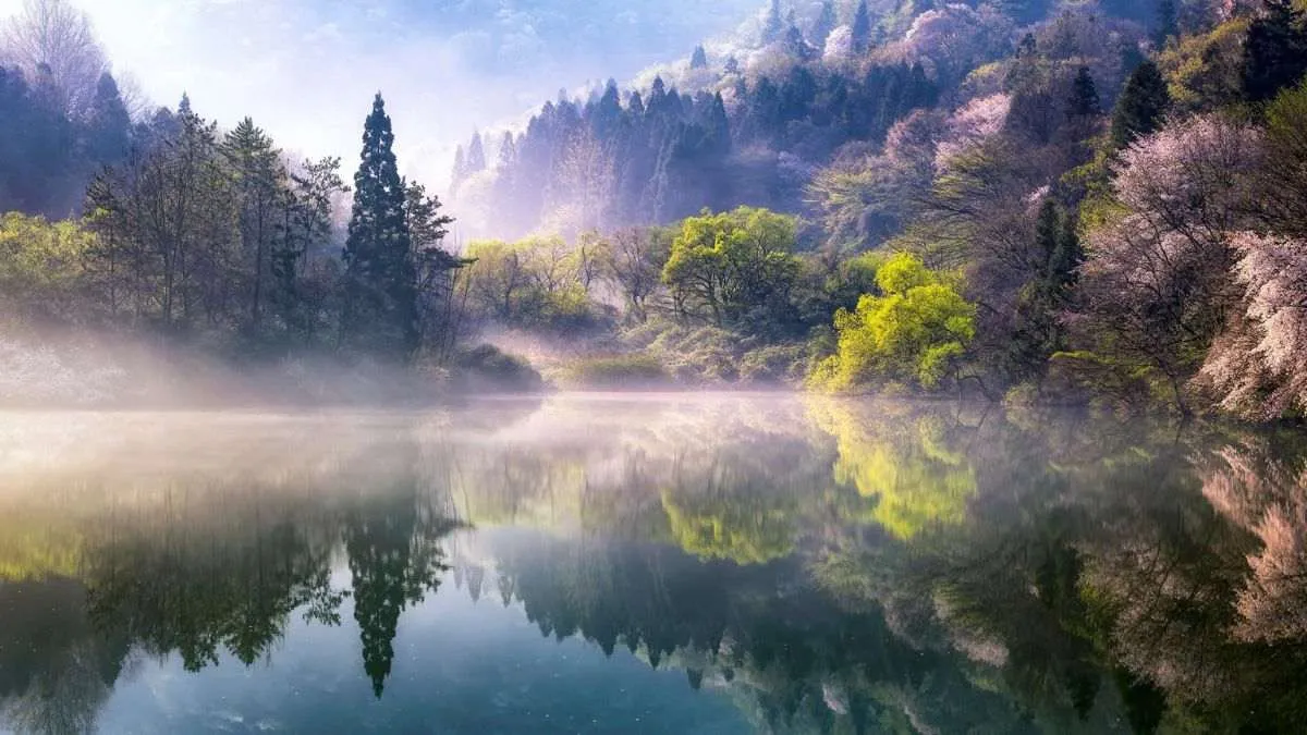 hinh nen desktop 37