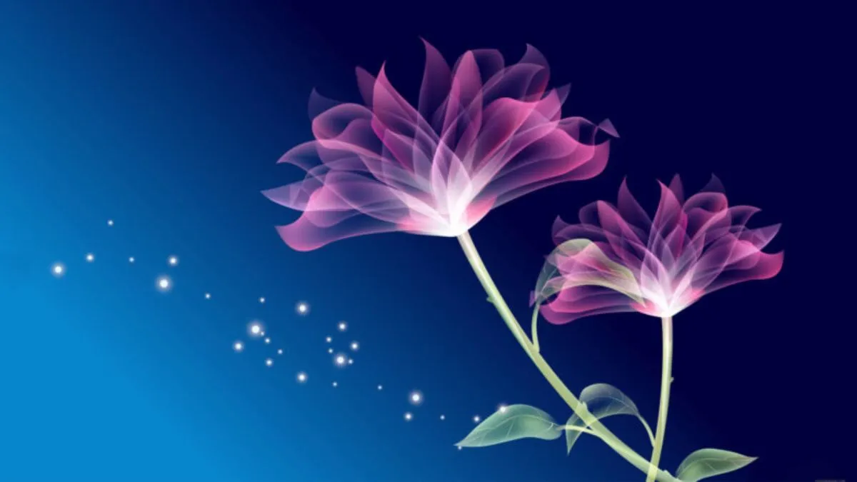 hinh nen desktop 60