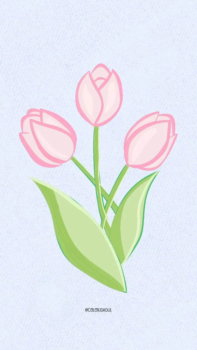 hinh nen hoa tulip innhanh.pro .vn 116