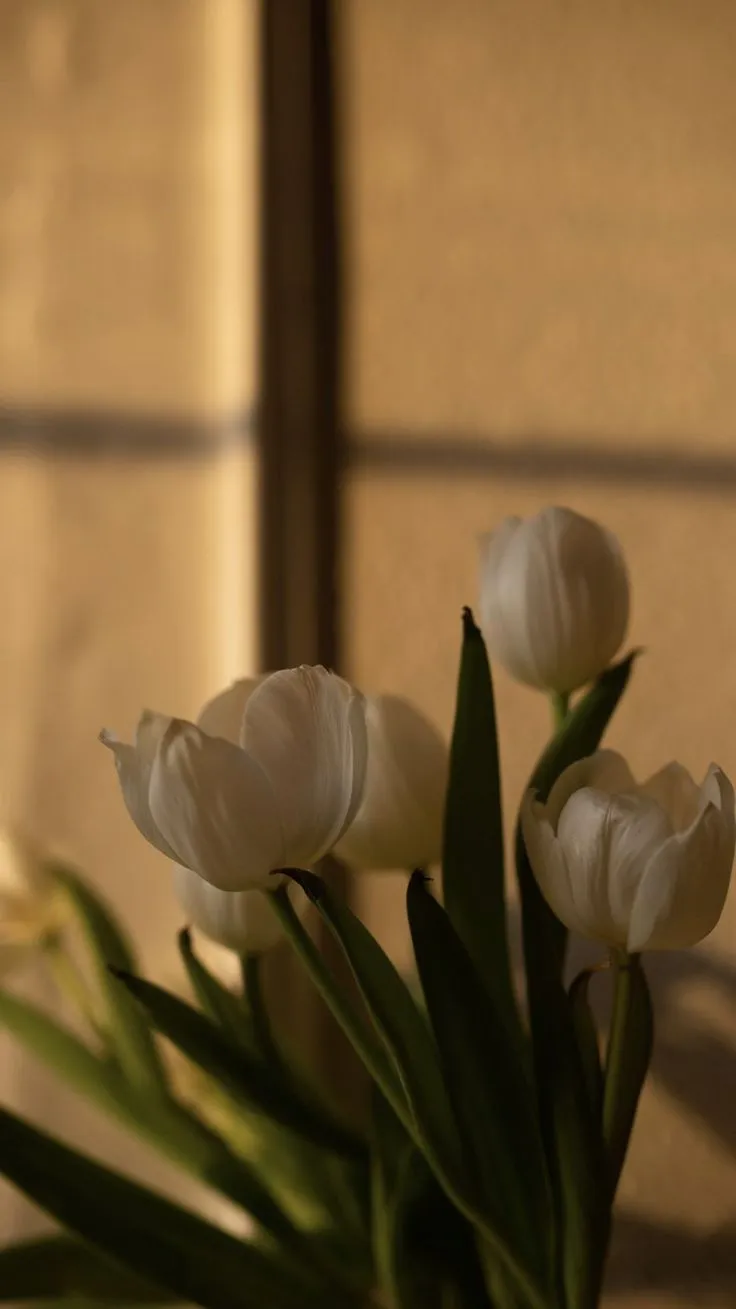 hinh nen hoa tulip innhanh.pro .vn 119