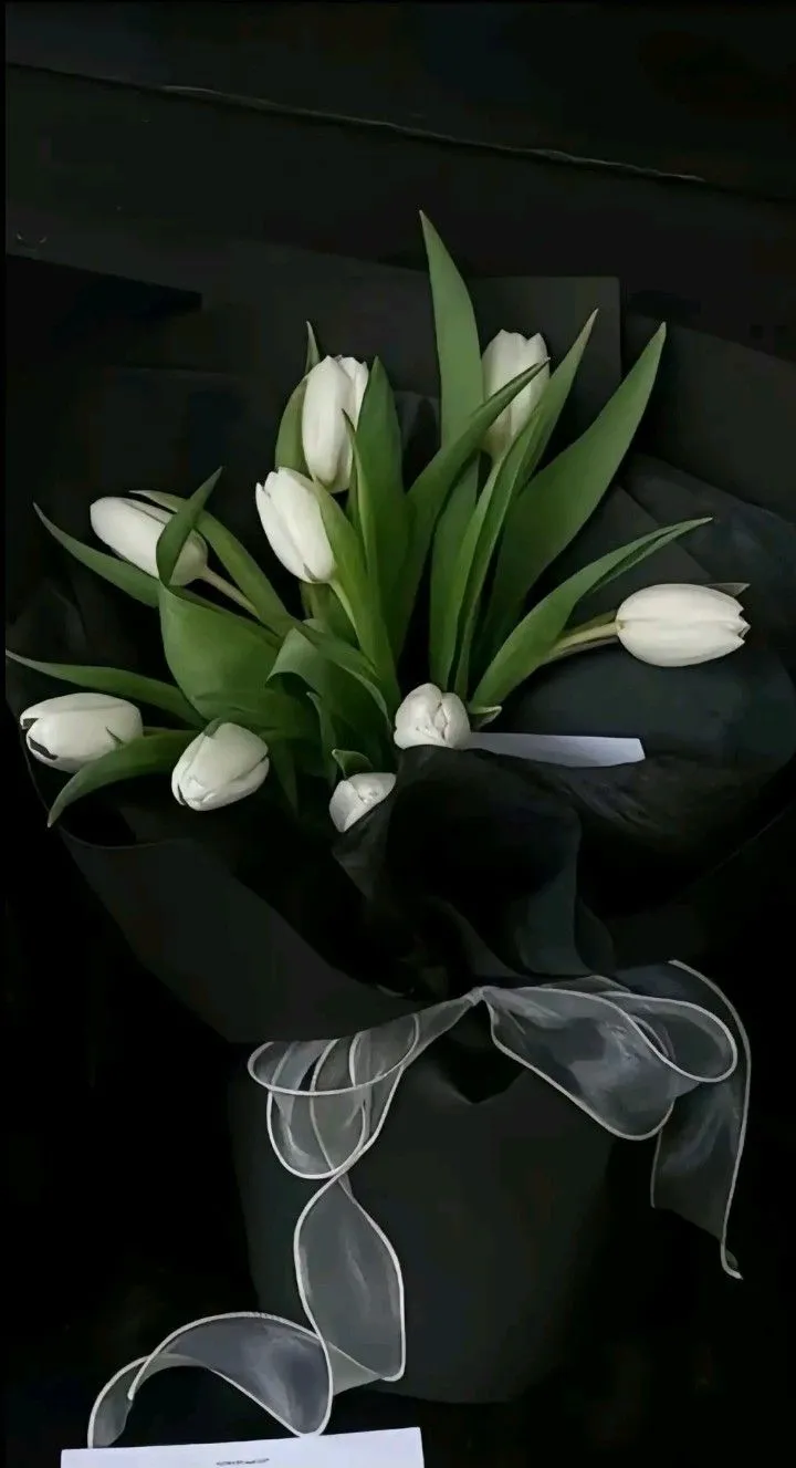 hinh nen hoa tulip innhanh.pro .vn 121