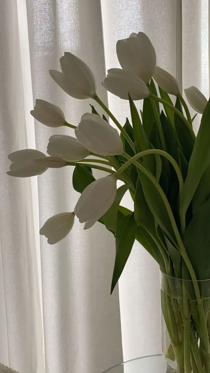 hinh nen hoa tulip innhanh.pro .vn 124