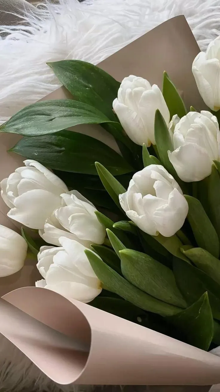 hinh nen hoa tulip innhanh.pro .vn 72