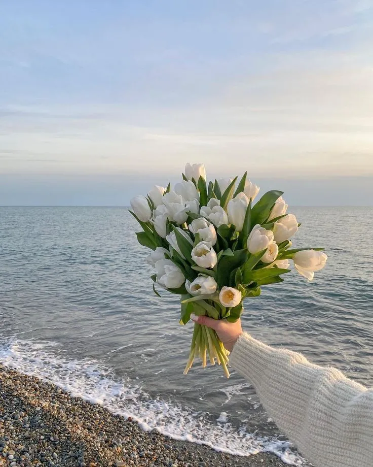 hinh nen hoa tulip innhanh.pro .vn 80