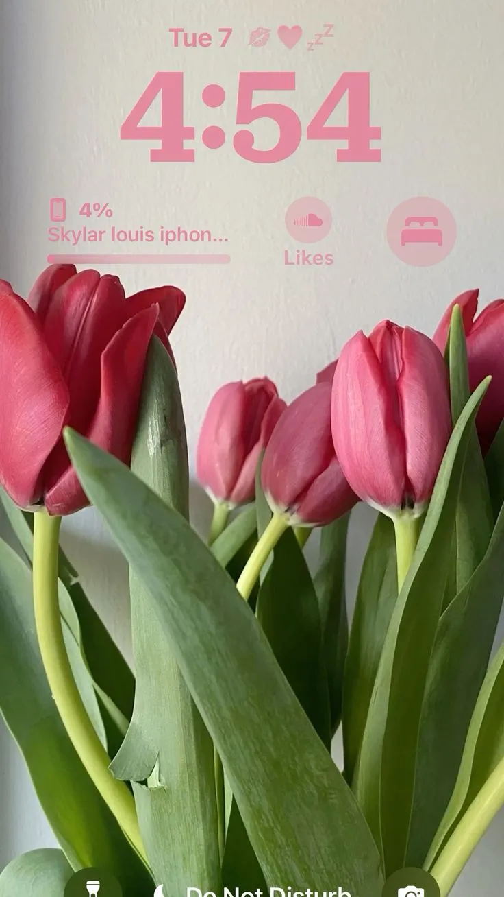 hinh nen hoa tulip innhanh.pro .vn 85