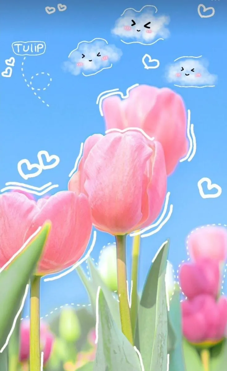 hinh nen hoa tulip innhanh.pro .vn 86