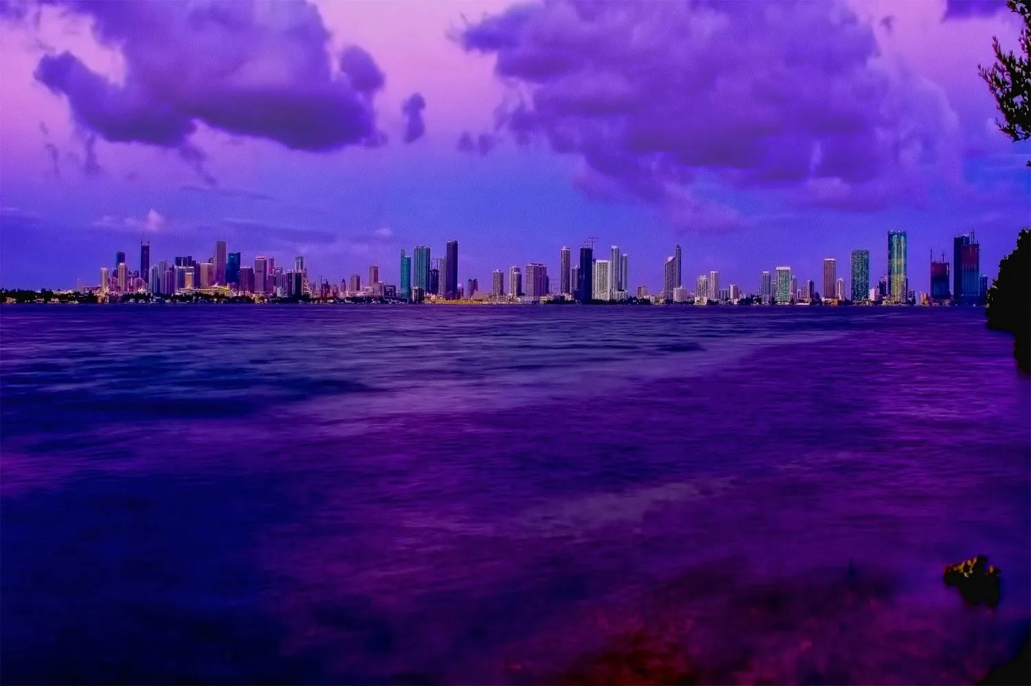 hinh nen mau tim innhanh.pro .vn29