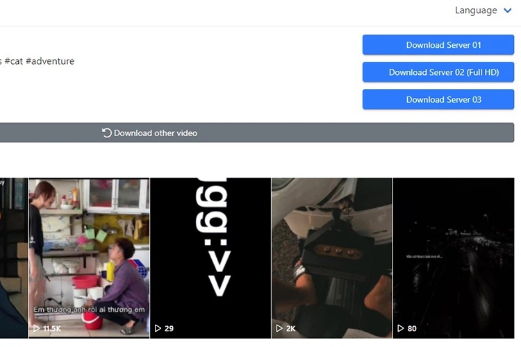 6 cách tải video TikTok trên máy tính (hình 15)