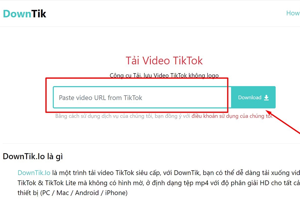 6 cách tải video TikTok trên máy tính (hình 12)