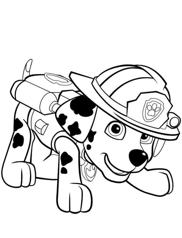 tranh to mau con cho innhanh.pro .vn15