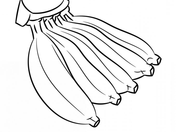Ảnh vẽ quả chuối cho bé tô màu (3)