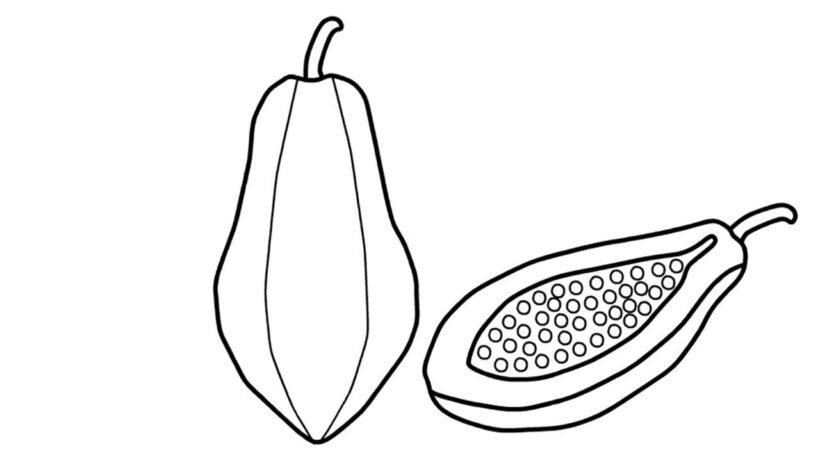 Ảnh vẽ tô màu quả đu đủ đẹp cho bé tập tô (29)