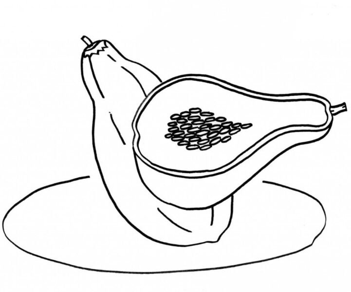 Ảnh vẽ tô màu quả đu đủ đẹp cho bé tập tô (32)