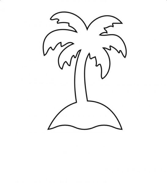 Cách vẽ cây dừa