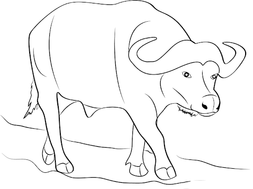 Hình ảnh con trâu đẹp nhất