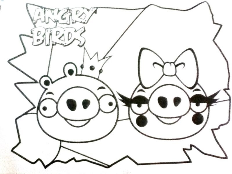 Hình tô màu Angry Birds cho bé tập tô (7)