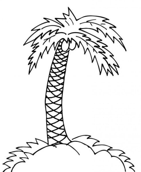 Hình tô màu cây dừa cho bé tập tô (6)