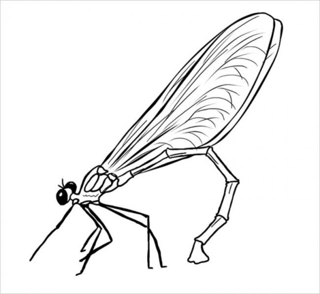 hinh-to-mau-con-chuon-chuon-cho-be-tap-to-11 Hình tô màu con chuồn chuồn cho bé tập tô (11)