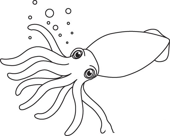 squid marine life black white outline