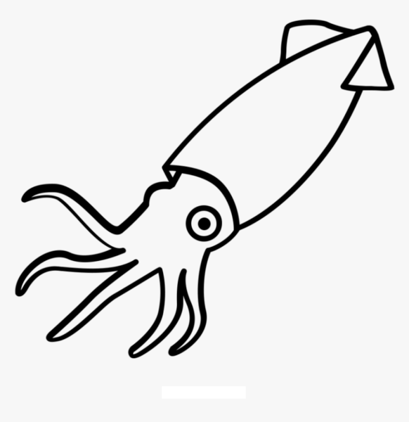 Hình tô màu con mực cho bé tập tô (9)