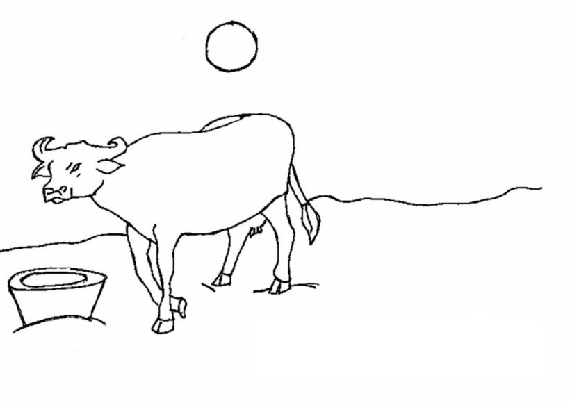 Hình tô màu con trâu đẹp nhất cho bé tập tô (2)