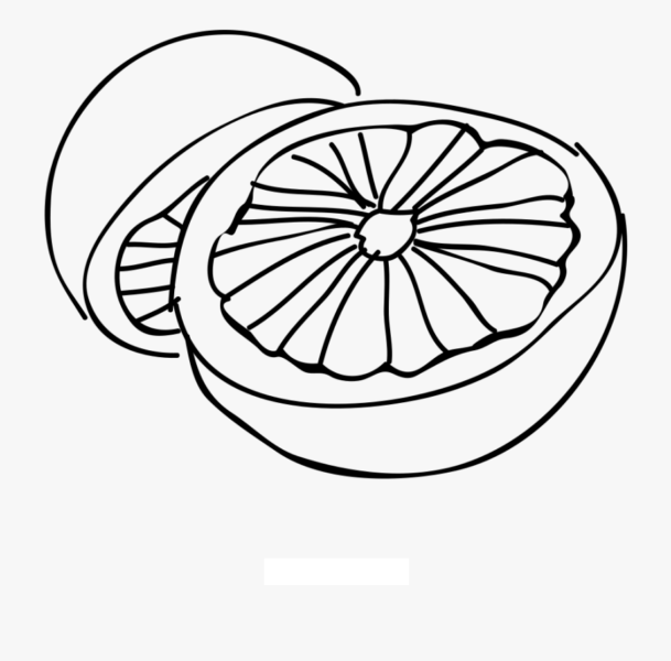 Hình tô màu quả bưởi đơn giản cho bé tập tô (8)