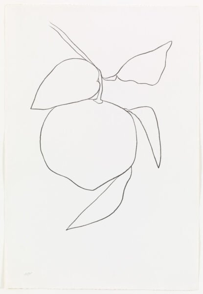 Tổng hợp các bức tranh tô màu quả bưởi đẹp nh