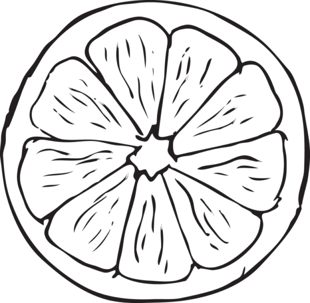 Hình tô màu quả bưởi đơn giản cho bé tập tô (9)