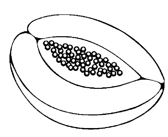Hình tô màu quả đu đủ đẹp cho bé tập tô (14)