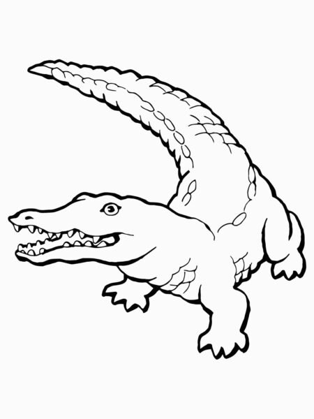 Free Printable Crocodile Coloring Pages For Kids for Coloring Pages Crocodile
