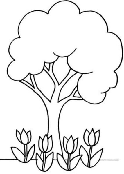 Hình vẽ chưa tô màu cây xanh cho bé tập tô (2)