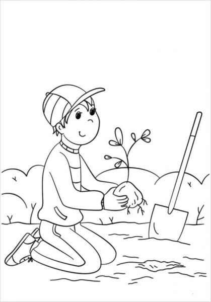 Hình vẽ chưa tô màu cho bé 7 tuổi tập tô (7)