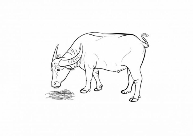 Hình vẽ chưa tô màu con trâu đáng yêu cho bé tập tô (1)