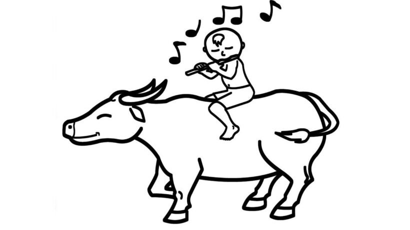 tổng hợp hình ảnh tranh tô màu con trâu