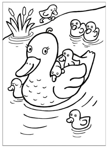 Hình vẽ chưa tô màu con vịt đẹp nhất cho bé tập tô (6)