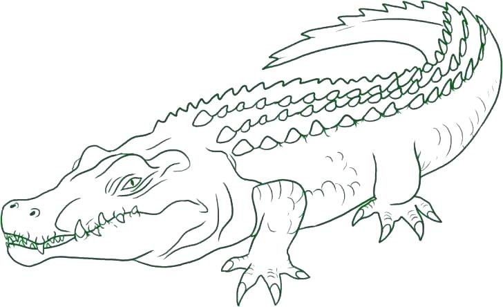 Hình vẽ đen trắng cá sấu cho bé tô màu (2)