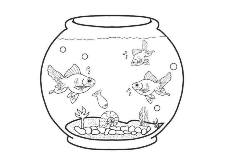 Hình vẽ đen trắng chú cá vàng cho bé tô màu (6)