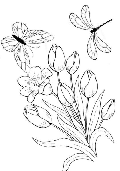 hinh-ve-den-trang-con-chuon-chuon-cho-be-to-mau-1-420x600-1 Hình vẽ đen trắng con chuồn chuồn cho bé tô màu (1)