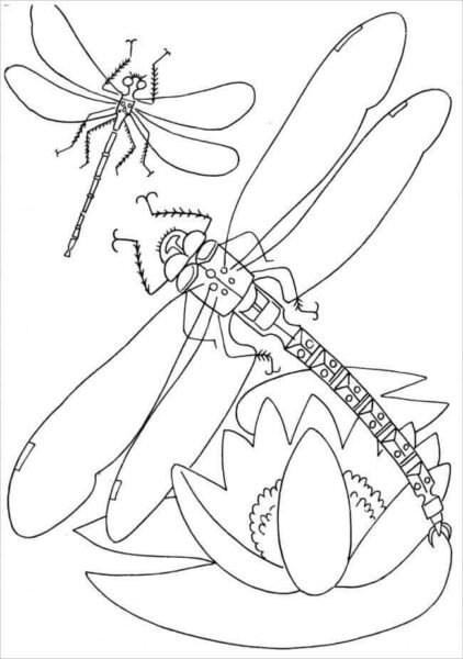 hinh-ve-den-trang-con-chuon-chuon-cho-be-to-mau-2-422x600-1 Hình vẽ đen trắng con chuồn chuồn cho bé tô màu (2)